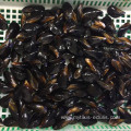 Hot sale sea foods fresh IQF frozen Blue Mussel price